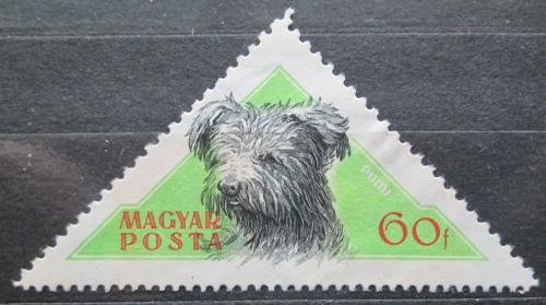Poštová známka Maïarsko 1956 Pes Mi# 1462
