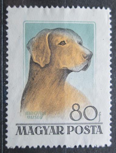 Poštová známka Maïarsko 1956 Maïarský ohaø krátkosrstý Mi# 1463