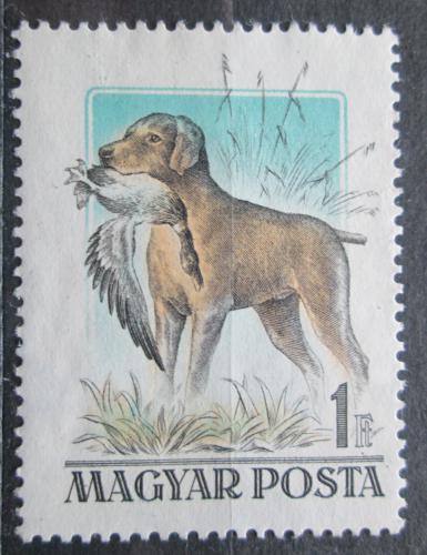 Poštová známka Maïarsko 1956 Lovecký pes Mi# 1464