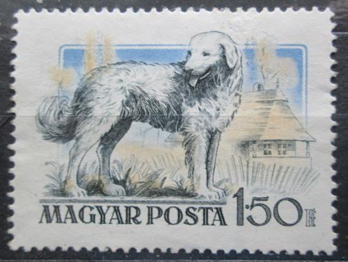 Poštová známka Maïarsko 1956 Pes Mi# 1466