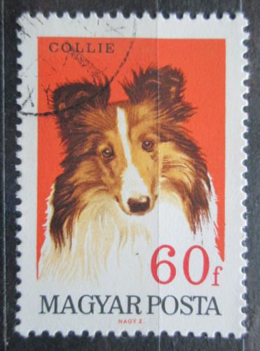 Poštová známka Maïarsko 1967 Kolie Mi# 2338
