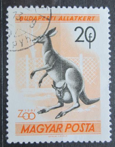 Poštová známka Maïarsko 1961 Klokan obrovský Mi# 1727