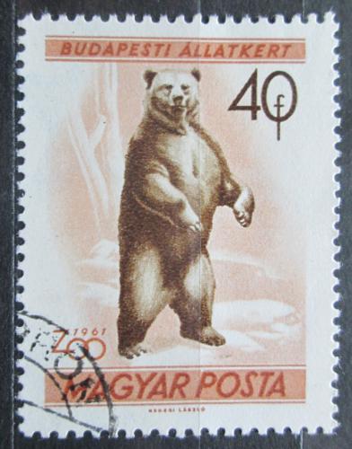 Poštová známka Maïarsko 1961 Medvìd hnìdý Mi# 1729