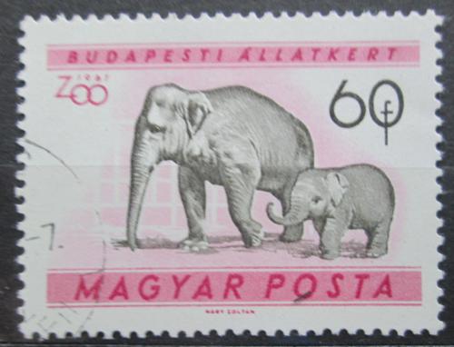 Poštová známka Maïarsko 1961 Slon indický Mi# 1730