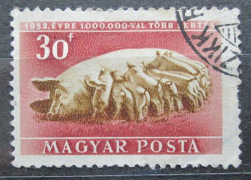 Poštová známka Maïarsko 1951 Prasata Mi# 1151