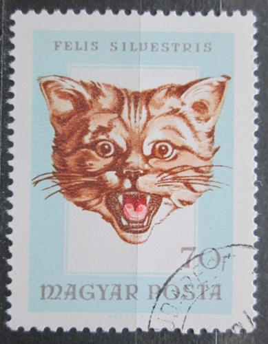 Poštová známka Maïarsko 1966 Divoká maèka Mi# 2257