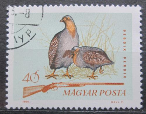 Poštová známka Maïarsko 1964 Koroptev polní Mi# 2081