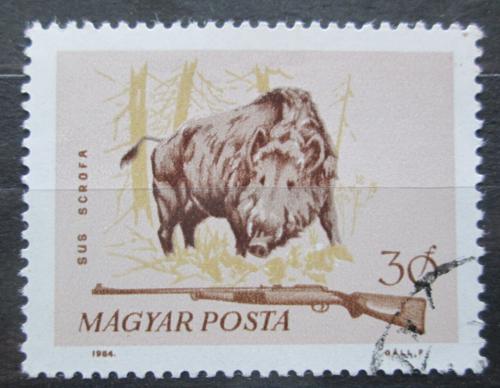 Poštová známka Maïarsko 1964 Divoké prase Mi# 2080