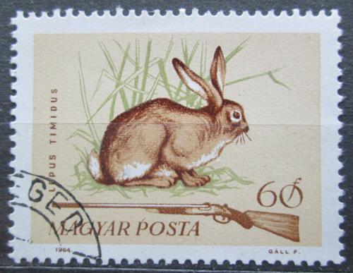 Poštová známka Maïarsko 1964 Zajíc bìlák Mi# 2082