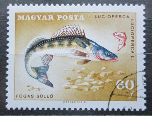 Poštová známka Maïarsko 1967 Candát obecný Mi# 2345