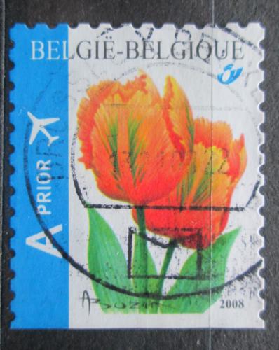 Poštová známka Belgicko 2008 Tulipány Mi# 3833 Do