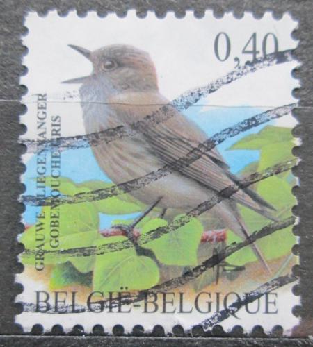 Poštová známka Belgicko 2004 Lejsek šedý Mi# 3317