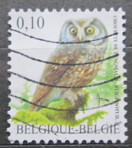 Poštová známka Belgicko 2007 Sýc rousný Mi# 3674