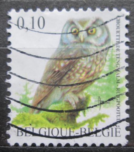 Poštová známka Belgicko 2007 Sýc rousný Mi# 3674