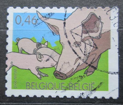 Poštová známka Belgicko 2006 Prase Mi# 3532