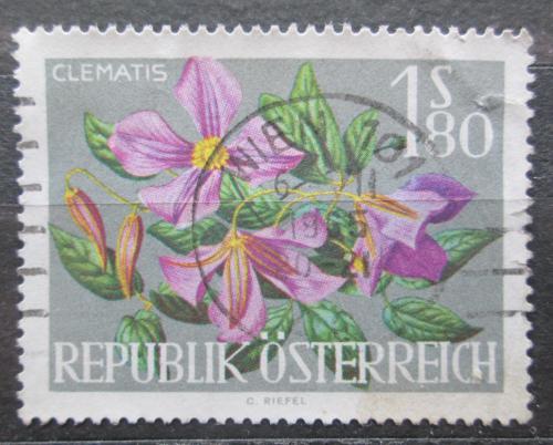 Poštová známka Rakúsko 1964 Plamének Mi# 1147