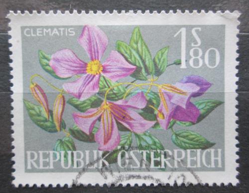 Poštová známka Rakúsko 1964 Plamének Mi# 1147