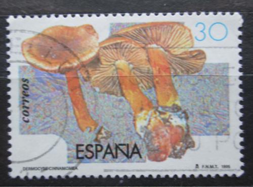Poštová známka Španielsko 1995 Pavuèinec skoøicový Mi# 3200