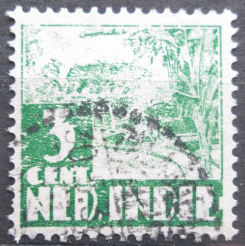 Poštová známka Nizozemská India 1934 Domorodec Mi# 208