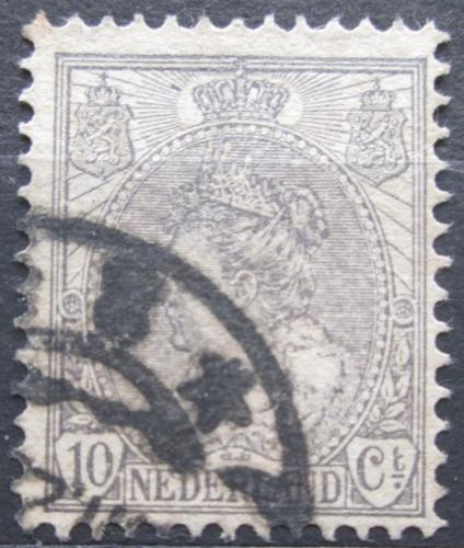 Poštová známka Holandsko 1899 Krá¾ovna Wilhelmina Mi# 56 A