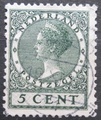 Poštová známka Holandsko 1924 Krá¾ovna Wilhelmina Mi# 151 A