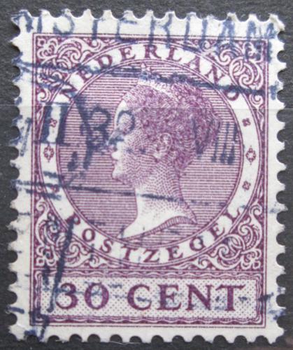 Poštová známka Holandsko 1924 Krá¾ovna Wilhelmina Mi# 159 A