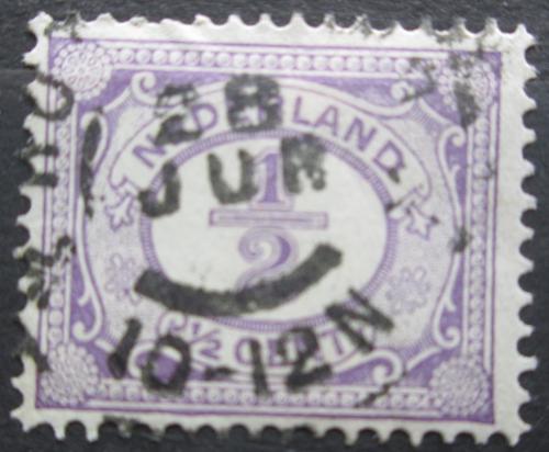 Poštová známka Holandsko 1899 Nominálna hodnota Mi# 49