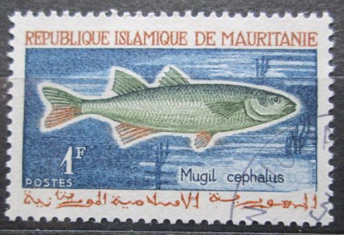 Poštová známka Mauritánia 1964 Cípal hlavatý Mi# 236