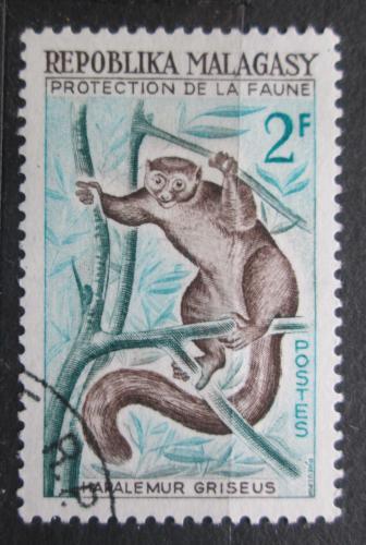 Poštová známka Madagaskar 1961 Lemur šedý Mi# 467