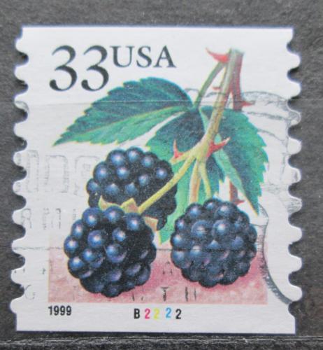 Poštová známka USA 1999 Ostružiny Mi# 3113