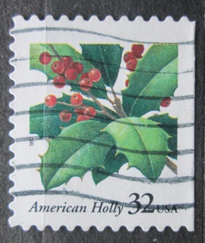 Poštová známka USA 1997 Cesmína, vianoce Mi# 2902 BD