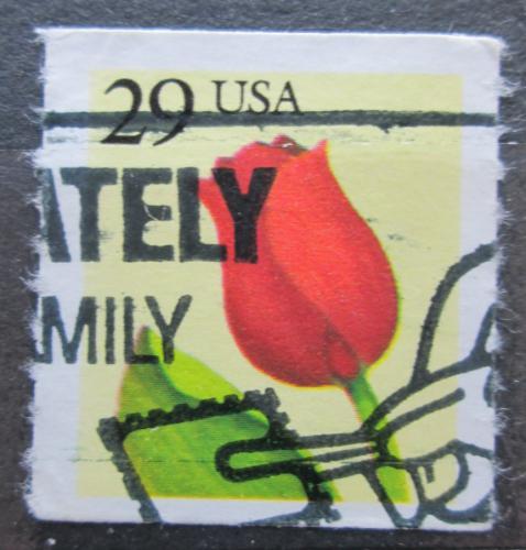 Potov znmka USA 1991 Tulipn Mi# 2125 L - zvi obrzok