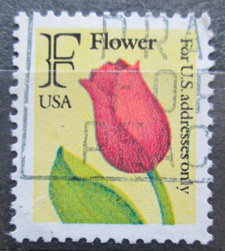 Potov znmka USA 1991 Tulipn Mi# 2116 A