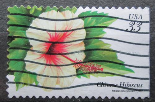 Poštová známka USA 1999 Ibišek èínská rùže Mi# 3120 BD