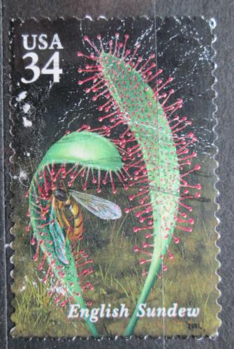 Poštová známka USA 2001 Rosnatka Mi# 3482