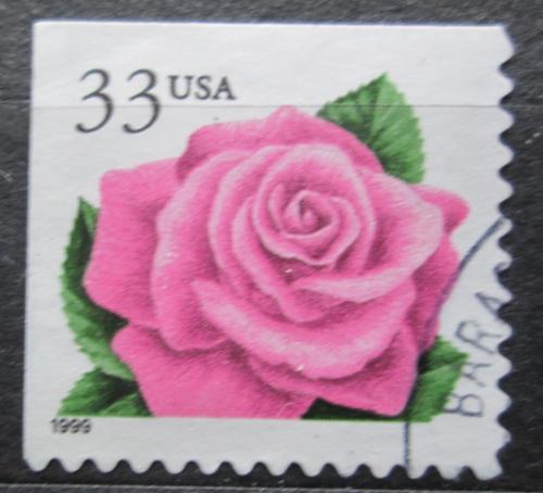 Poštová známka USA 1999 Rùže Mi# 3156