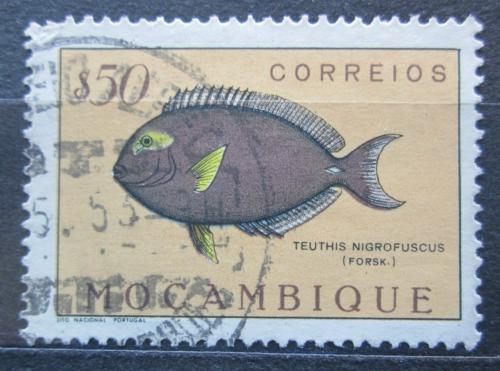 Poštová známka Mozambik 1951 Bodlok temný Mi# 391