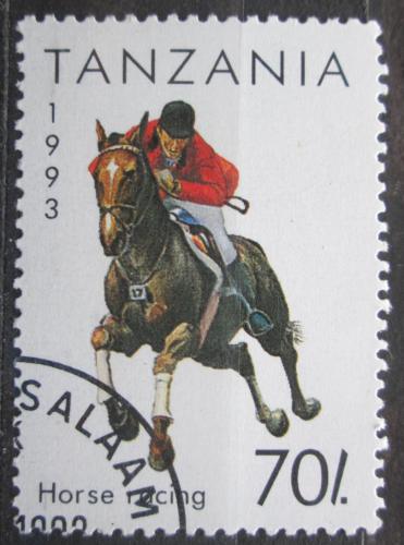 Poštová známka Tanzánia 1993 Dostihy Mi# 1469