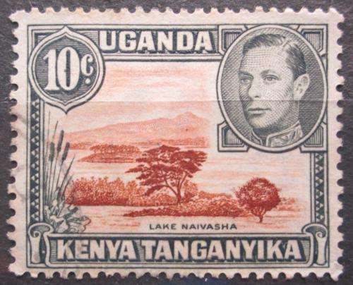 Poštovní známka K-U-T 1952 Jezero Naivasha Mi# 57