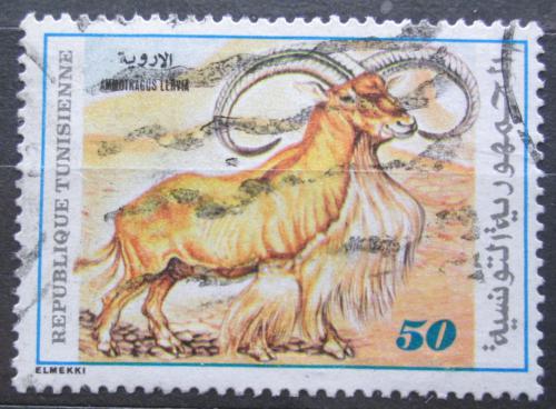 Poštová známka Tunisko 1980 Paovce høivnatá Mi# 988