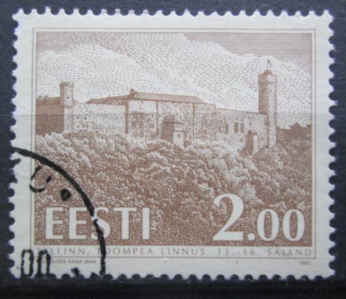 Poštová známka Estónsko 1993 Domberg Mi# 213