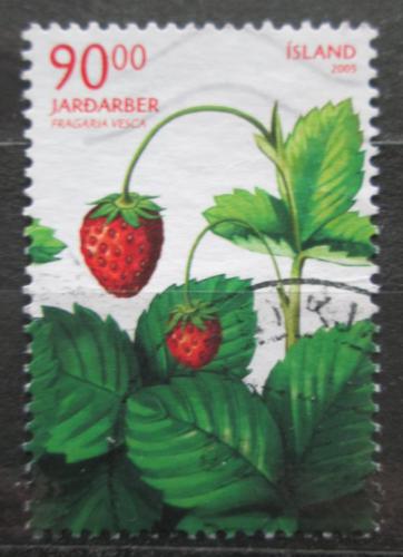 Poštová známka Island 2005 Jahody Mi# 1107
