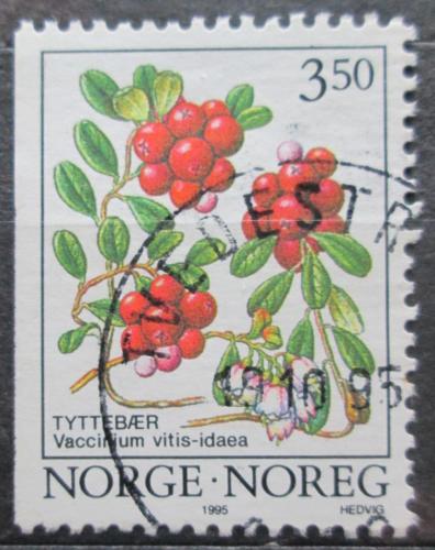 Poštová známka Nórsko 1995 Brusinky Mi# 1174