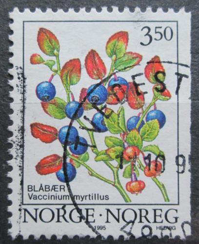 Poštová známka Nórsko 1995 Borùvky Mi# 1175