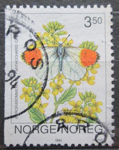 Poštová známka Nórsko 1993 Bìlásek øeøichový Mi# 1114