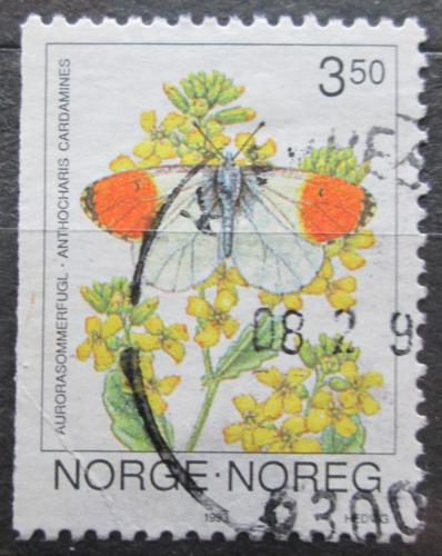 Poštová známka Nórsko 1993 Bìlásek øeøichový Mi# 1114