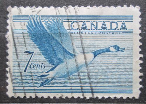 Potov znmka Kanada 1952 Berneka velk Mi# 274