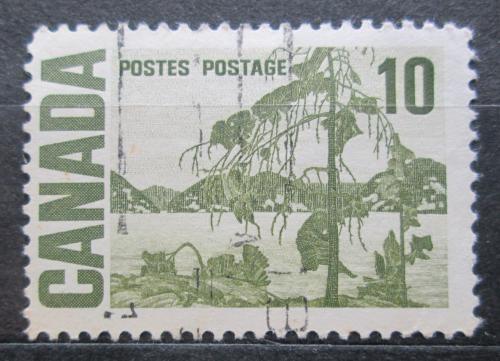 Poštová známka Kanada 1967 The Jack Pine Mi# 404