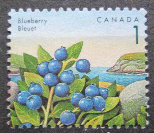 Poštová známka Kanada 1992 Borùvky Mi# 1307