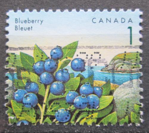 Poštová známka Kanada 1992 Borùvky Mi# 1307
